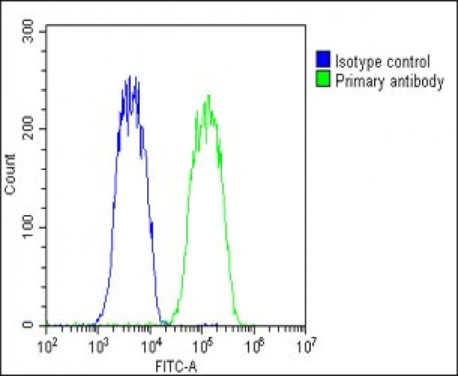 WNT5A Antibody in Flow Cytometry (Flow)