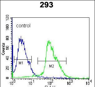 Kallikrein 7 Antibody in Flow Cytometry (Flow)