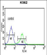 Cathepsin E Antibody in Flow Cytometry (Flow)