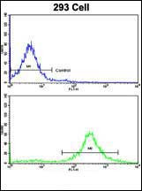 MOBP Antibody in Flow Cytometry (Flow)