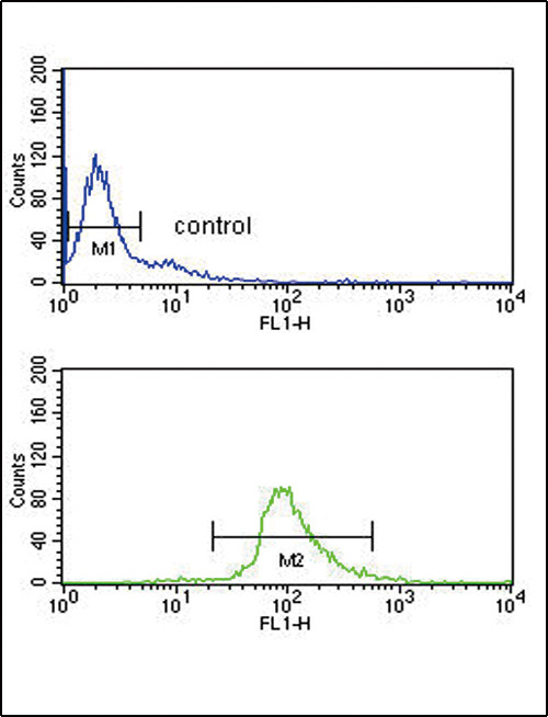 DCT Antibody in Flow Cytometry (Flow)