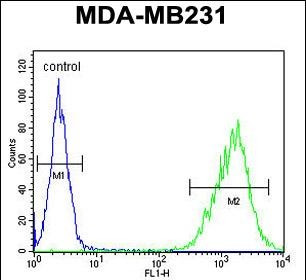 TAZ Antibody in Flow Cytometry (Flow)