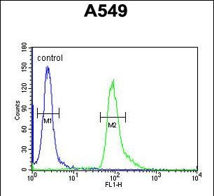 ABHD12 Antibody in Flow Cytometry (Flow)