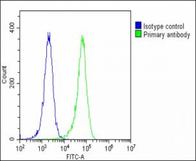 GBA Antibody in Flow Cytometry (Flow)