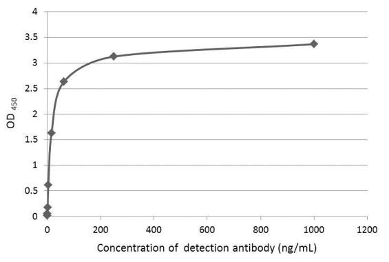 Axl Antibody in ELISA (ELISA)