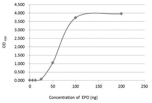 Epo Antibody in ELISA (ELISA)