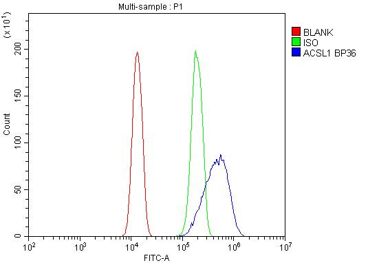 ACSL1 Antibody in Flow Cytometry (Flow)