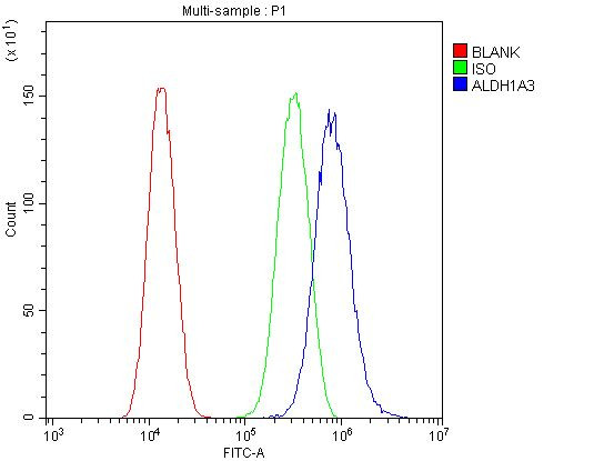 ALDH1A3 Antibody in Flow Cytometry (Flow)