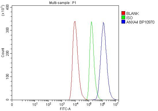 Annexin A4 Antibody in Flow Cytometry (Flow)