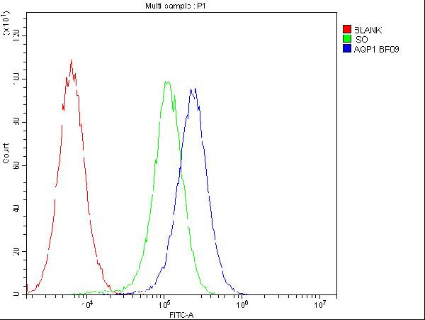 Aquaporin 1 Antibody in Flow Cytometry (Flow)