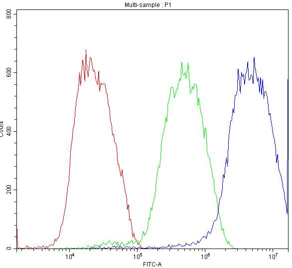 ATF2 Antibody in Flow Cytometry (Flow)