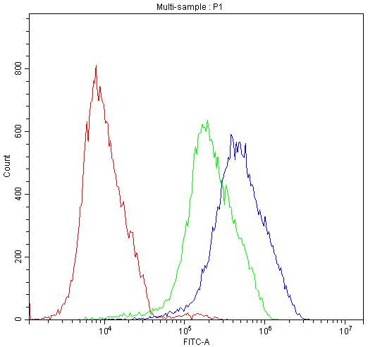 ATF2 Antibody in Flow Cytometry (Flow)