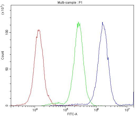 Ataxin 3 Antibody in Flow Cytometry (Flow)