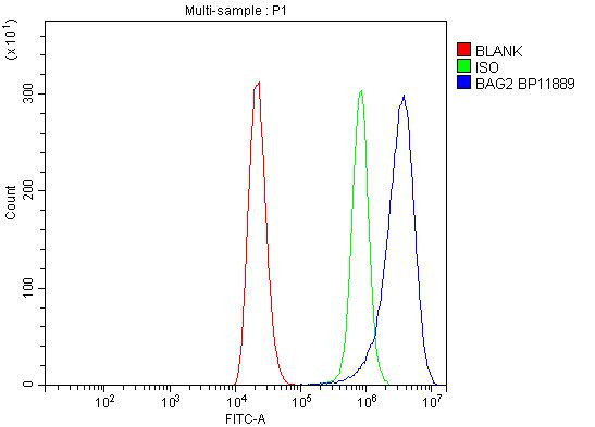 BAG2 Antibody in Flow Cytometry (Flow)