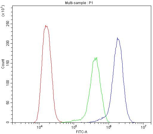 BMP5 Antibody in Flow Cytometry (Flow)