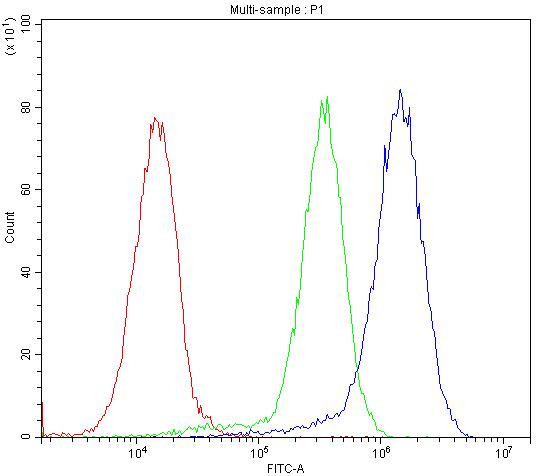 BMP5 Antibody in Flow Cytometry (Flow)