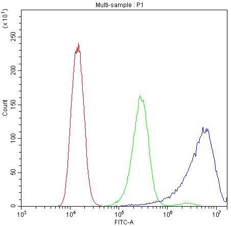 Calpastatin Antibody in Flow Cytometry (Flow)