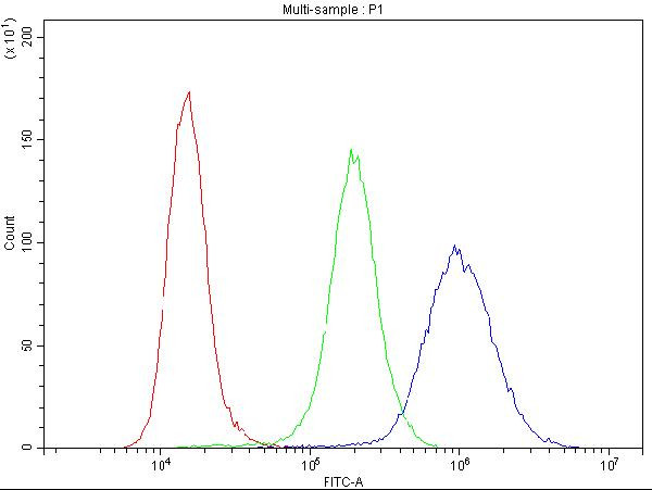 Cyclin B1 Antibody in Flow Cytometry (Flow)