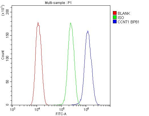 Cyclin T1 Antibody in Flow Cytometry (Flow)