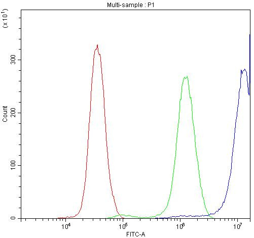 CCT3 Antibody in Flow Cytometry (Flow)