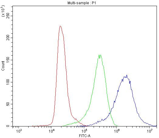 CCT3 Antibody in Flow Cytometry (Flow)