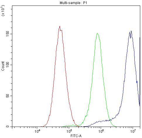 CCT3 Antibody in Flow Cytometry (Flow)