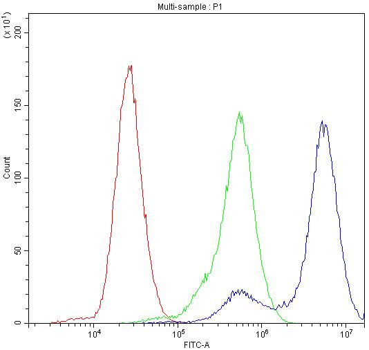 CHRNA3 Antibody in Flow Cytometry (Flow)