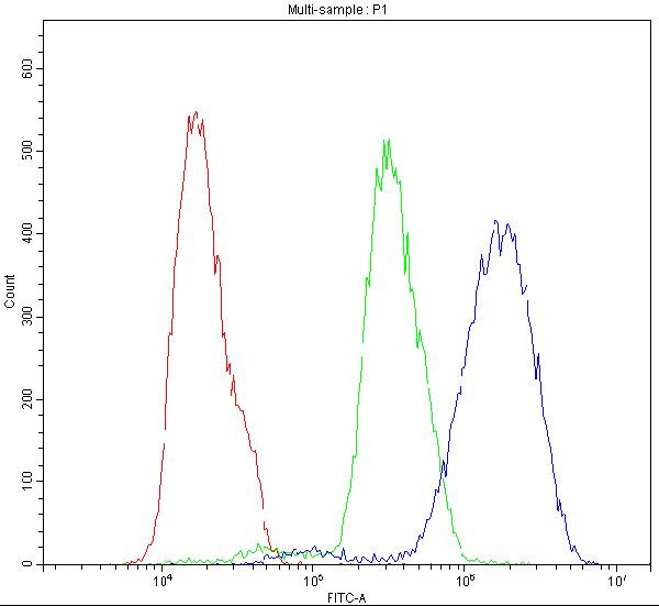 CHRNA5 Antibody in Flow Cytometry (Flow)