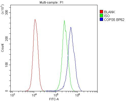 JAB1 Antibody in Flow Cytometry (Flow)