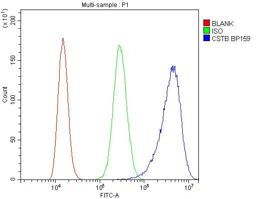 Cystatin B Antibody in Flow Cytometry (Flow)