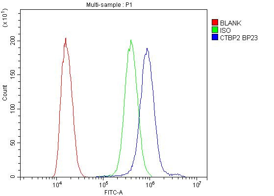 CtBP2 Antibody in Flow Cytometry (Flow)