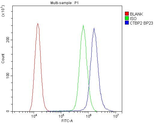 CtBP2 Antibody in Flow Cytometry (Flow)