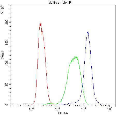 CYP1A1 Antibody in Flow Cytometry (Flow)