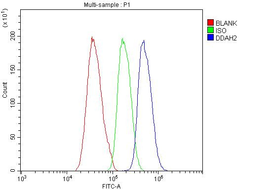 DDAH2 Antibody in Flow Cytometry (Flow)