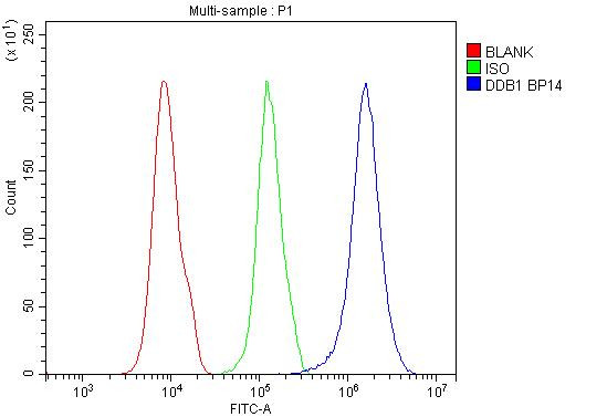 DDB1 Antibody in Flow Cytometry (Flow)