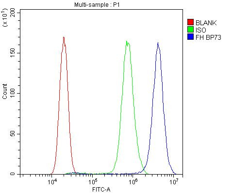 Fumarase Antibody in Flow Cytometry (Flow)