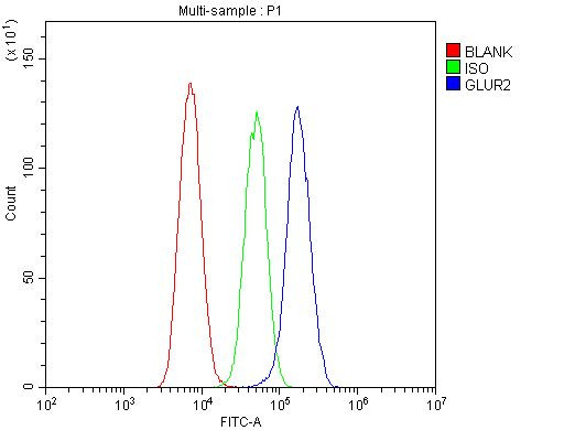 GluR2 Antibody in Flow Cytometry (Flow)