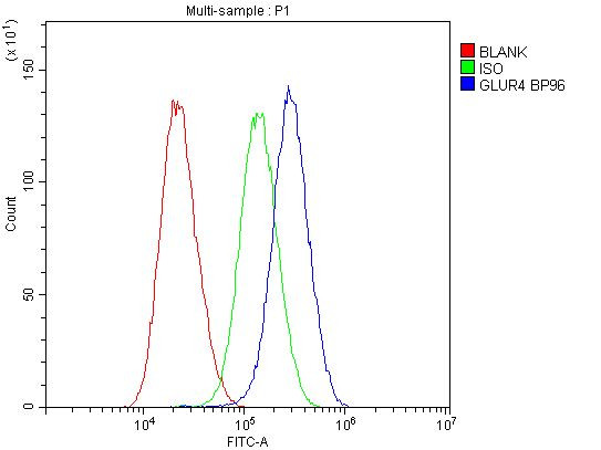 GluR4 Antibody in Flow Cytometry (Flow)