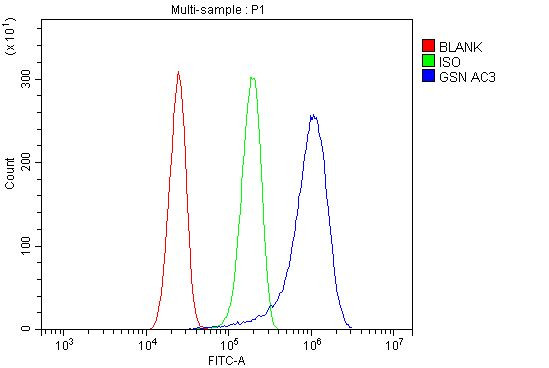 Gelsolin Antibody in Flow Cytometry (Flow)