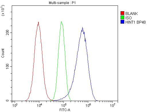 HINT1 Antibody in Flow Cytometry (Flow)