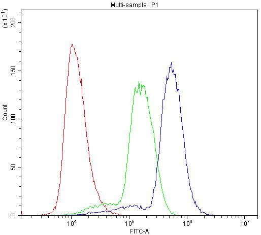 HOXA11 Antibody in Flow Cytometry (Flow)