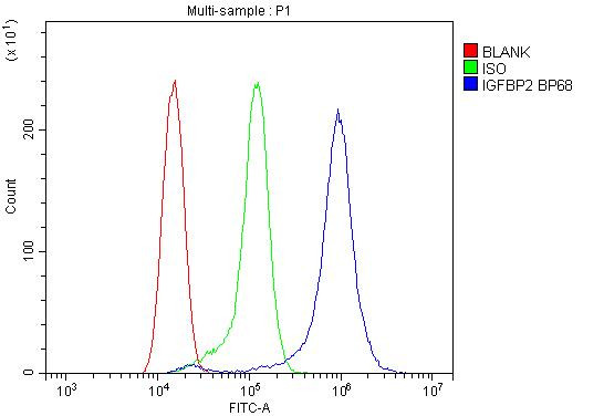 IGFBP2 Antibody in Flow Cytometry (Flow)