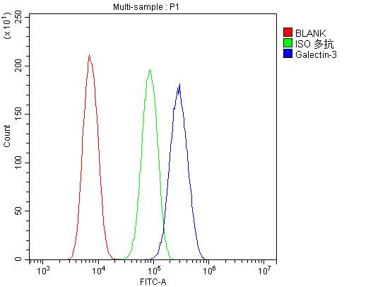 Galectin 3 Antibody in Flow Cytometry (Flow)