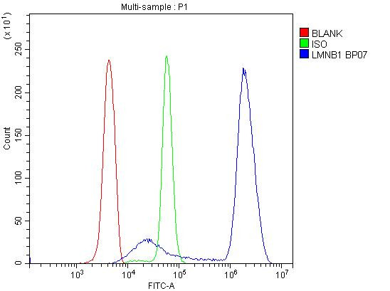 Lamin B1 Antibody in Flow Cytometry (Flow)