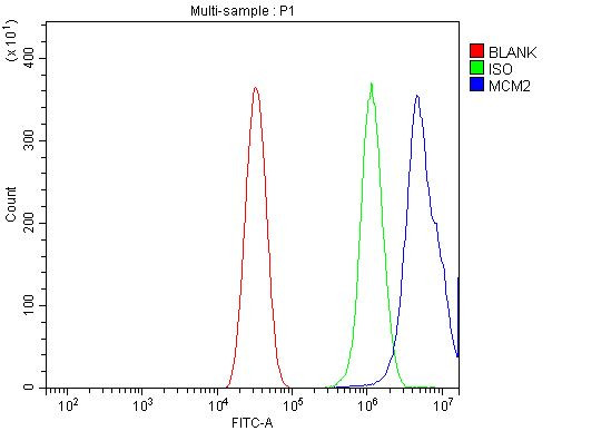 MCM2 Antibody in Flow Cytometry (Flow)