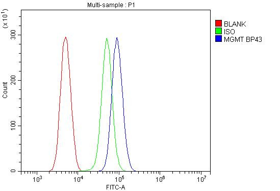 MGMT Antibody in Flow Cytometry (Flow)