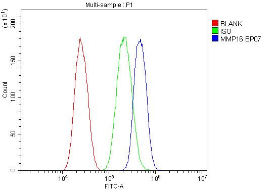 MMP16 Antibody in Flow Cytometry (Flow)