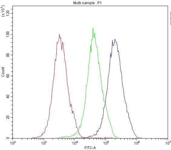 MVP Antibody in Flow Cytometry (Flow)