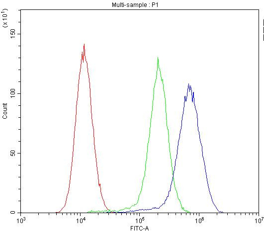 MVP Antibody in Flow Cytometry (Flow)