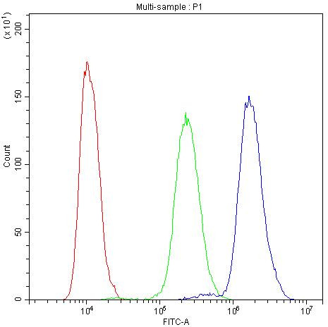 NFATC3 Antibody in Flow Cytometry (Flow)